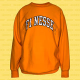 FINESSE college REsweatshirt Orange