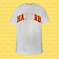HARD Shirt (Ash Grey)