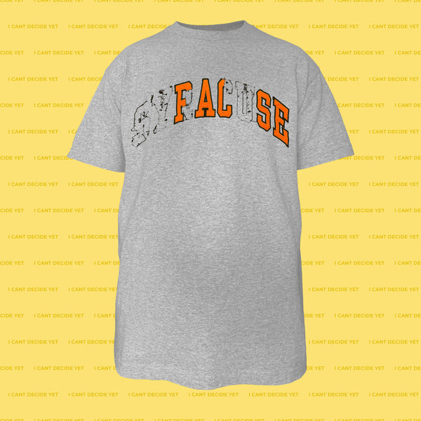 FALSE Shirt (Grey)