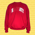 HATE REsweatshirt