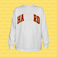 HARD LS Shirt (Ash Grey)